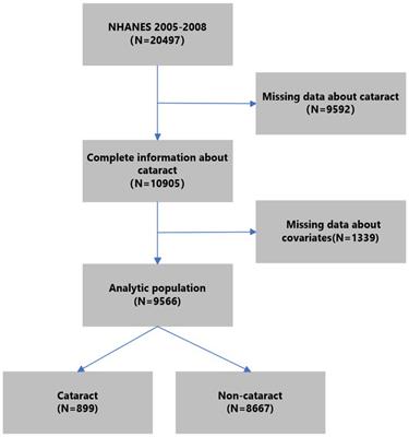 Development and construction of a cataract risk prediction model based on biochemical indices: the National Health and Nutrition Examination Survey, 2005–2008